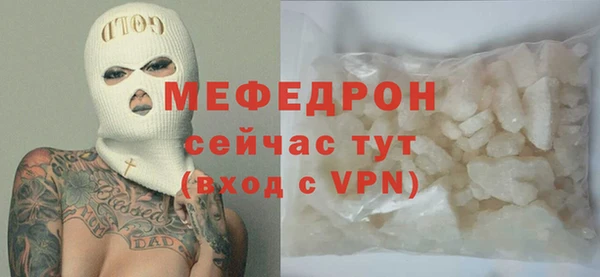 индика Инсар