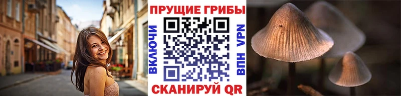 mega ССЫЛКА  Нурлат  Галлюциногенные грибы MAGIC MUSHROOMS 