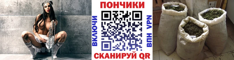 Конопля семена  Нурлат 
